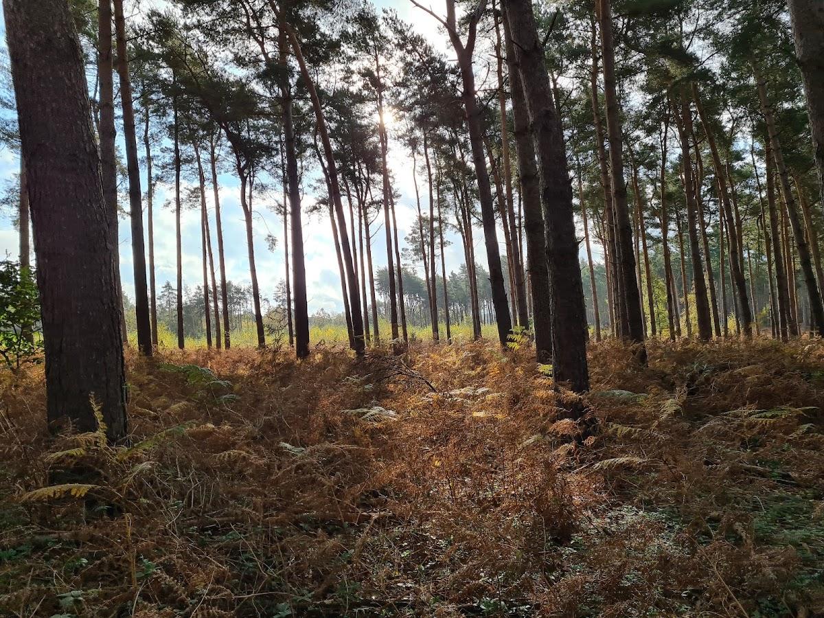 Broadland Country Park